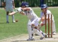 Cricket: A Timeless Sport of Skill and Strategy