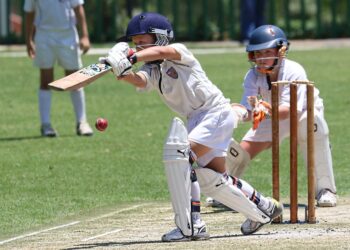 Cricket: A Timeless Sport of Skill and Strategy