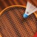 20 Best Badminton Rackets